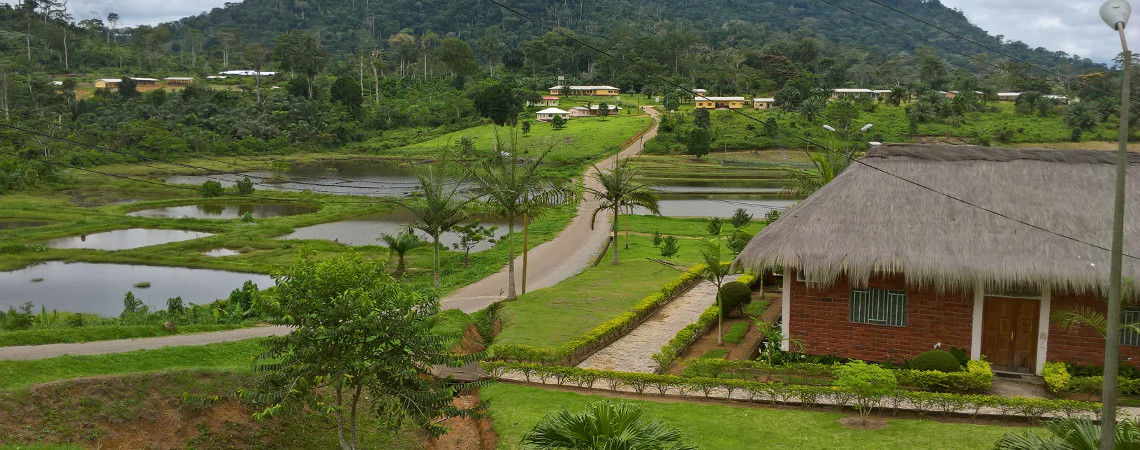 Excursion à Nkolandom au Cameroun