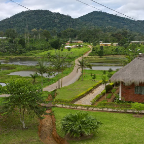 Excursion à Nkolandom